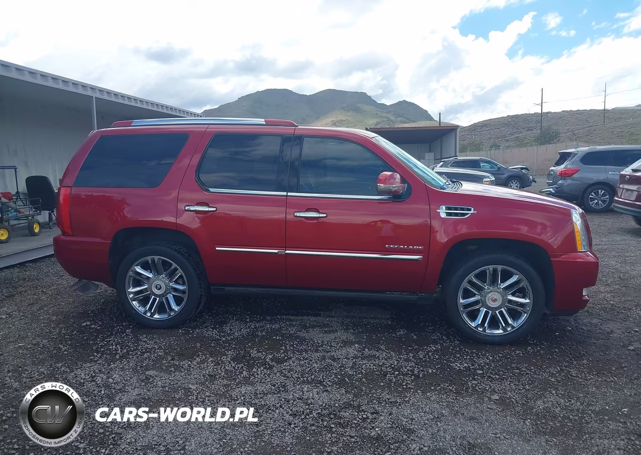 2014 Cadillac Escalade Platinum VIN:1GYS4DEF0ER237392 - 13