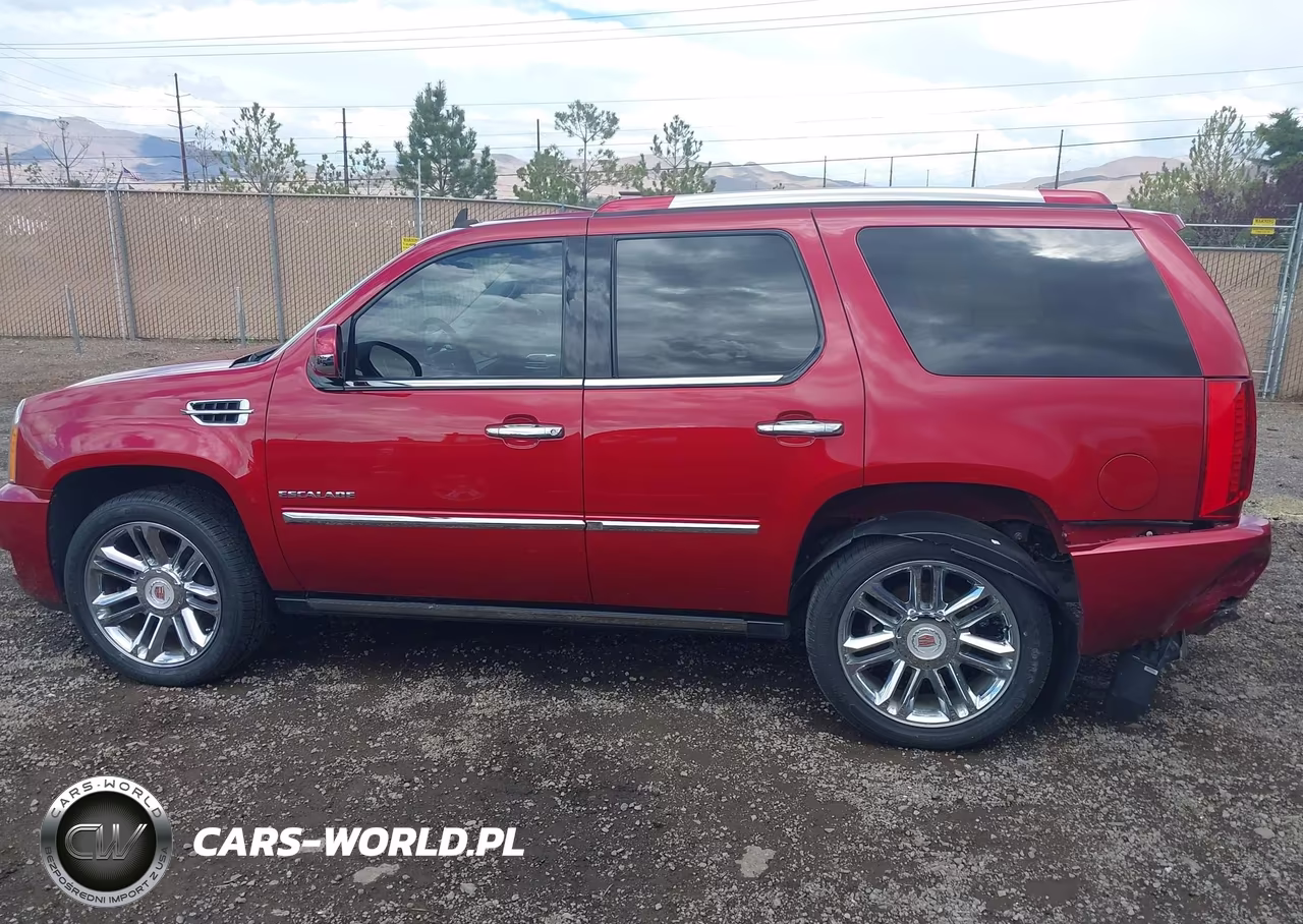2014 Cadillac Escalade Platinum VIN:1GYS4DEF0ER237392 - 14