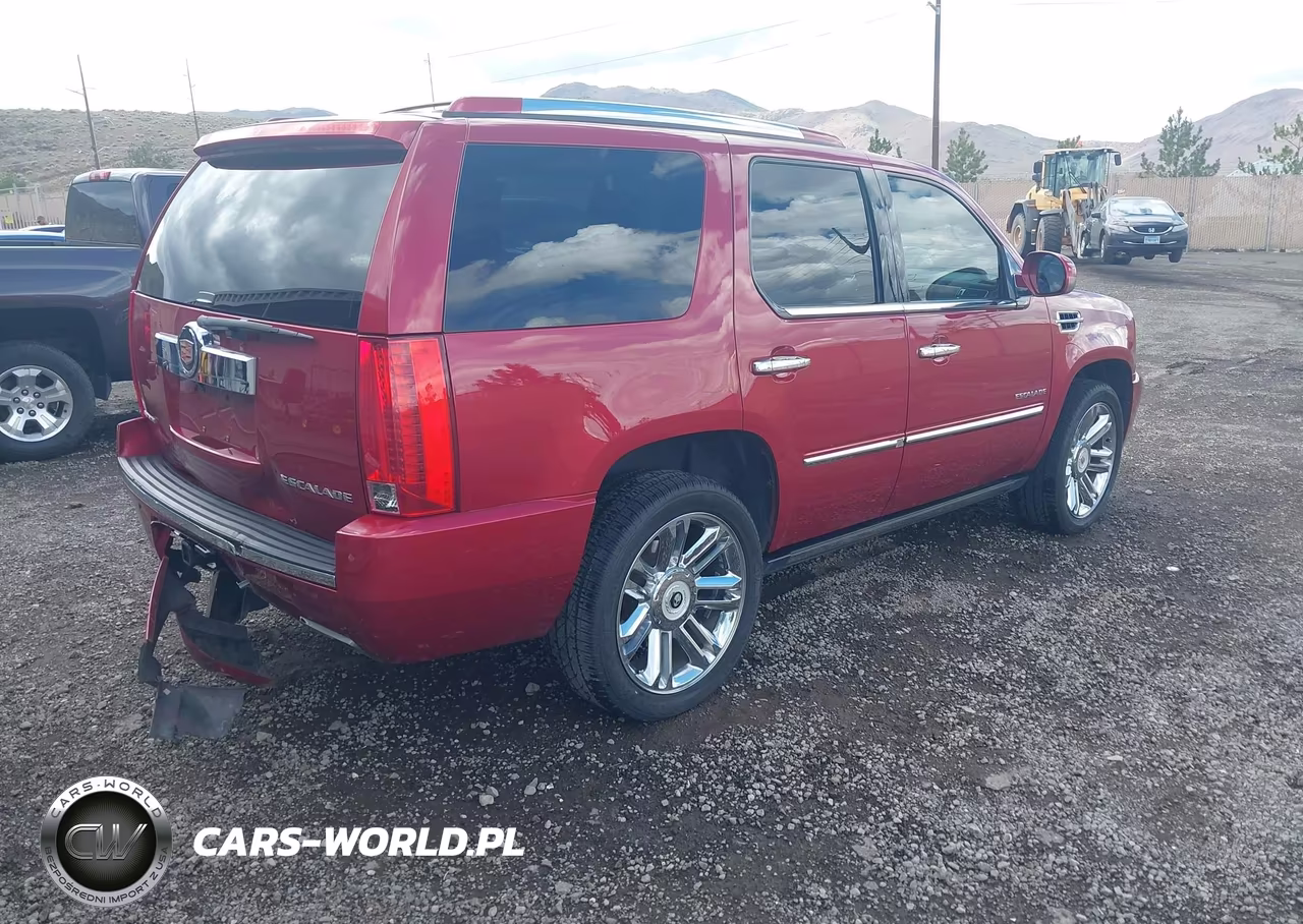 2014 Cadillac Escalade Platinum VIN:1GYS4DEF0ER237392 - 4