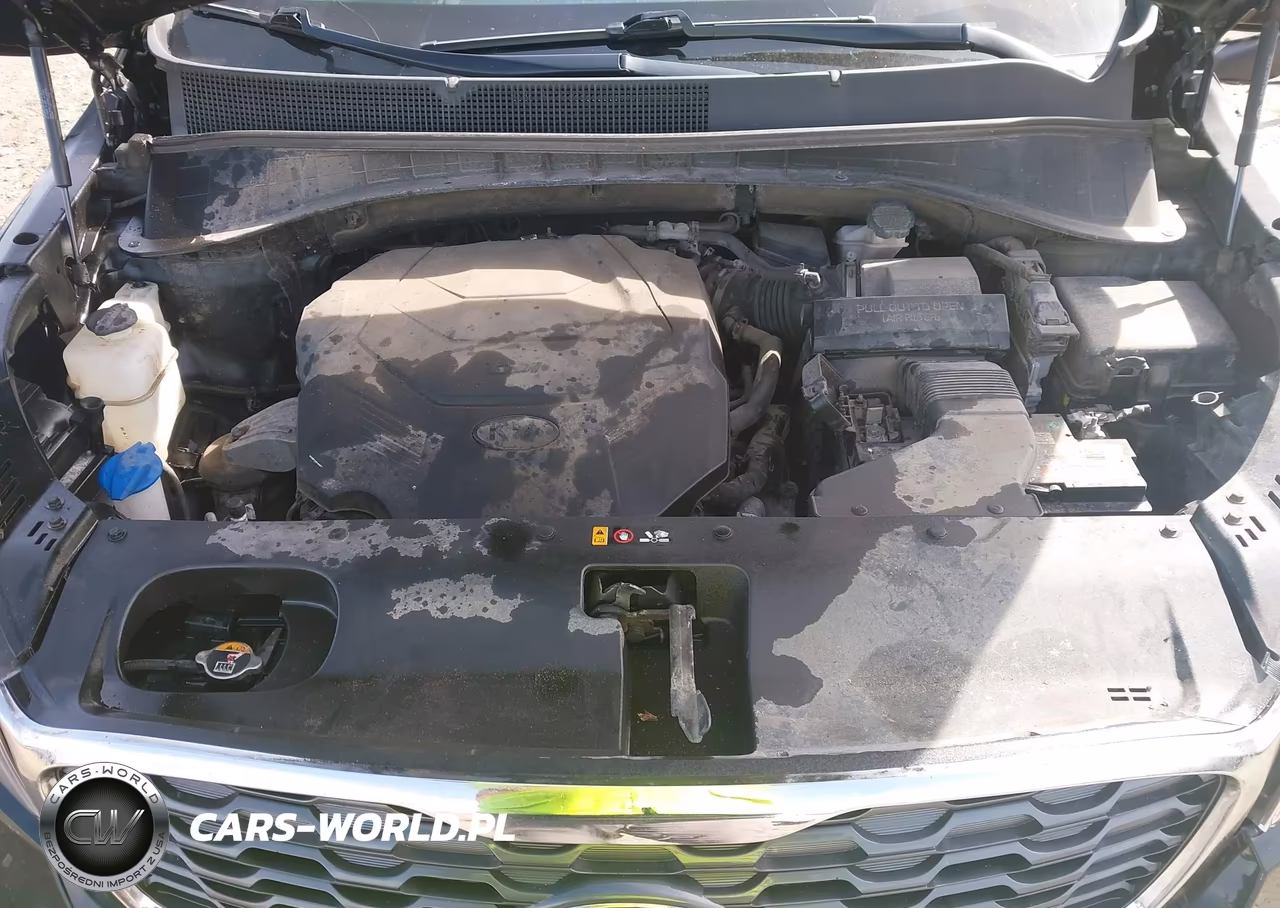 2020 Kia Sorento 3.3L Ex VIN:5XYPH4A51LG706725 - 10