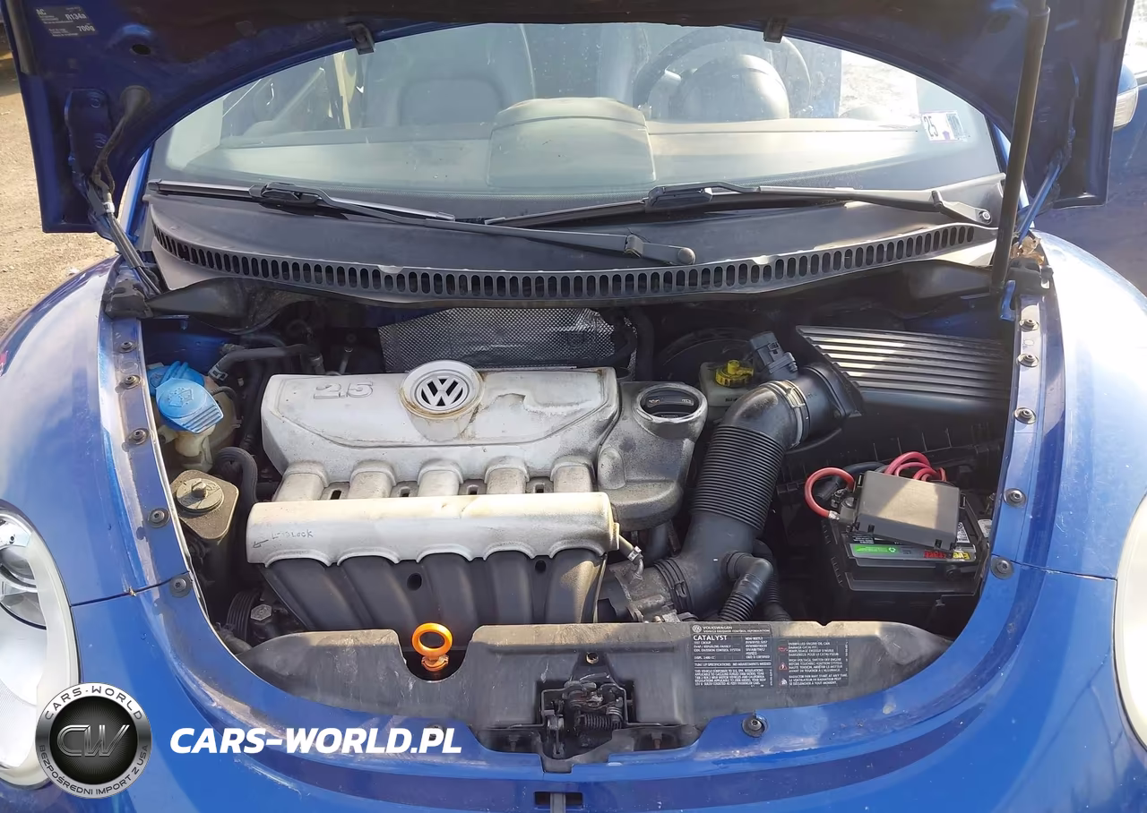 2008 Volkswagen New Beetle S VIN:3VWPG31C48M518977 - 10