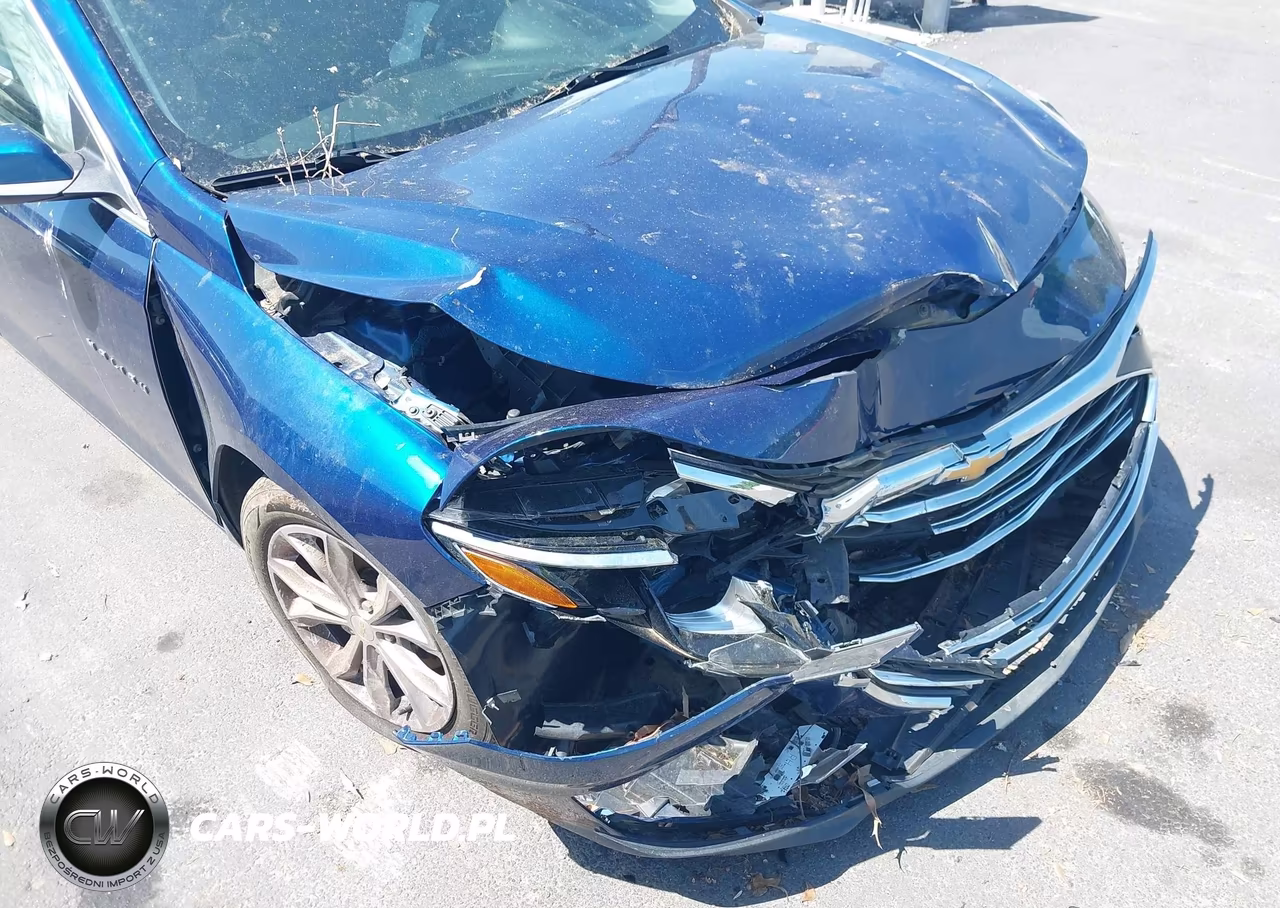 2019 Chevrolet Malibu Lt VIN:1G1ZD5ST1KF174135 - 12