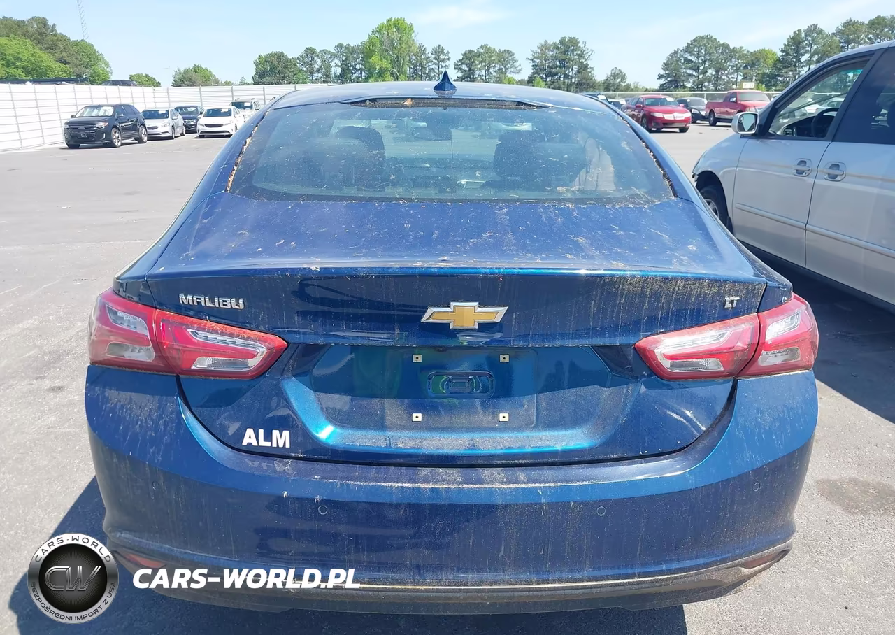 2019 Chevrolet Malibu Lt VIN:1G1ZD5ST1KF174135 - 17