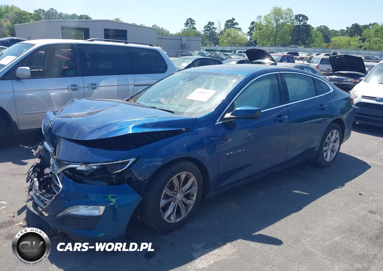 2019 Chevrolet Malibu Lt VIN:1G1ZD5ST1KF174135 - 2