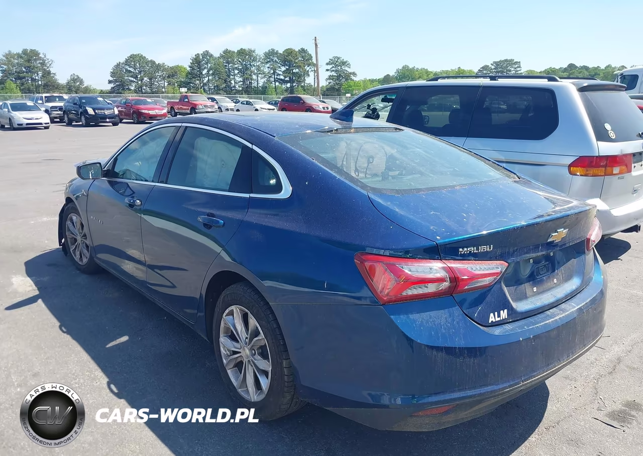 2019 Chevrolet Malibu Lt VIN:1G1ZD5ST1KF174135 - 3