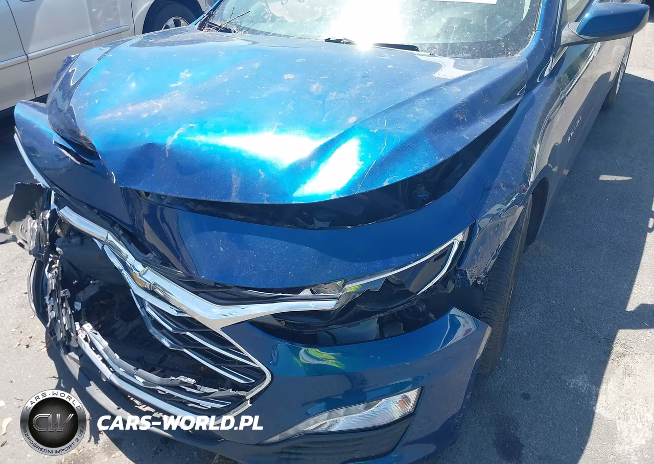 2019 Chevrolet Malibu Lt VIN:1G1ZD5ST1KF174135 - 6