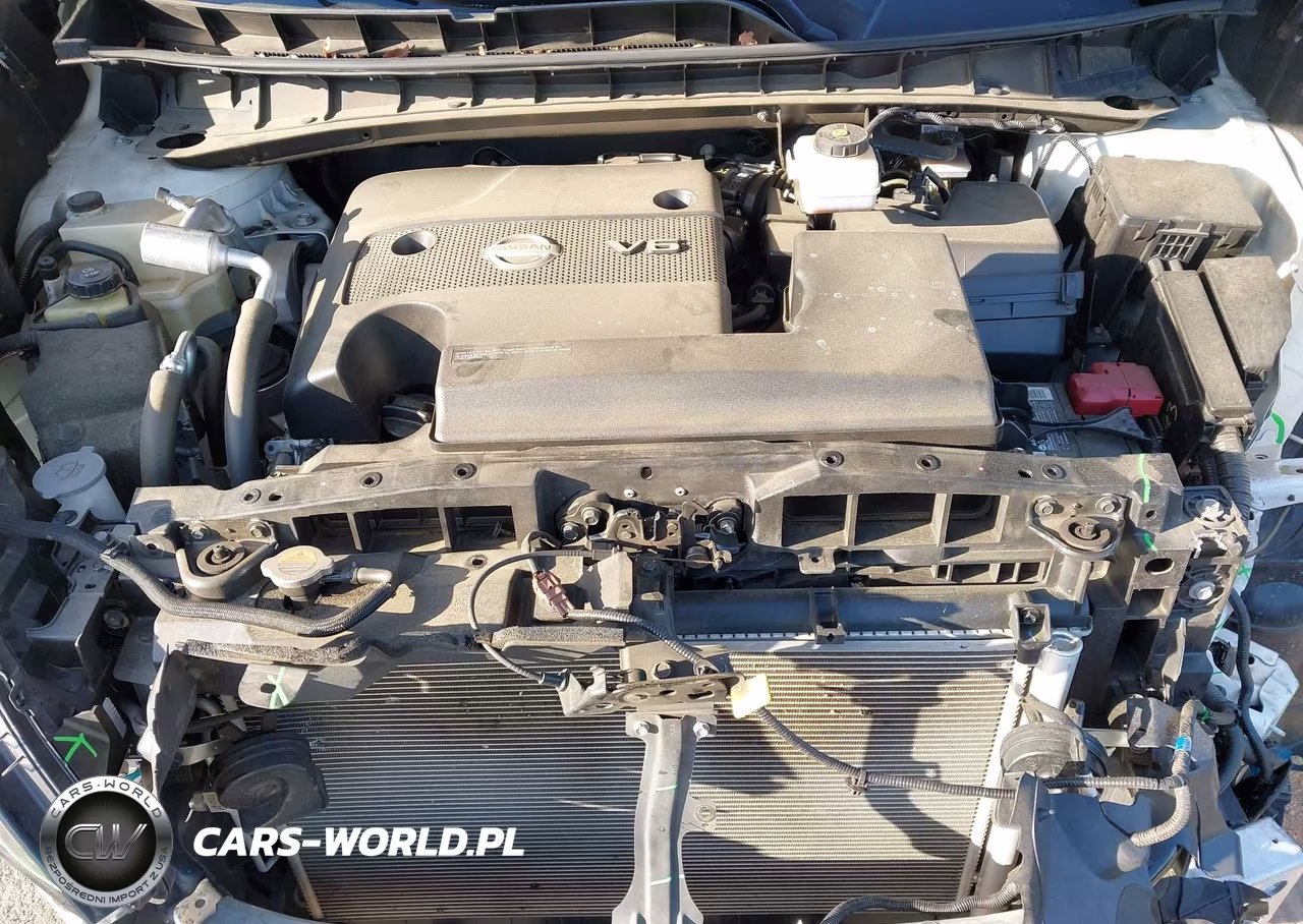 2019 Nissan Murano Sv VIN:5N1AZ2MJXKN149350 - 10
