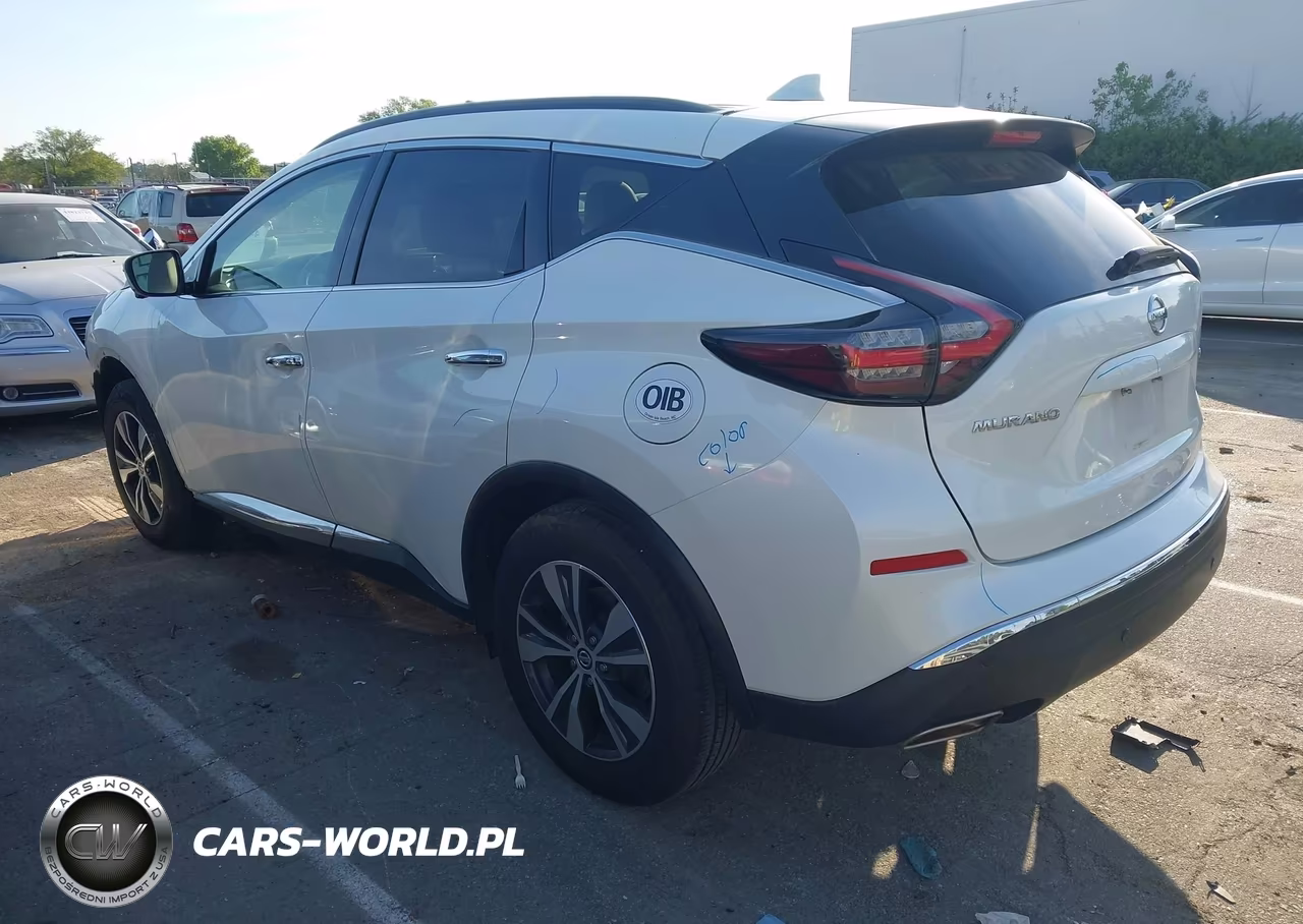 2019 Nissan Murano Sv VIN:5N1AZ2MJXKN149350 - 3