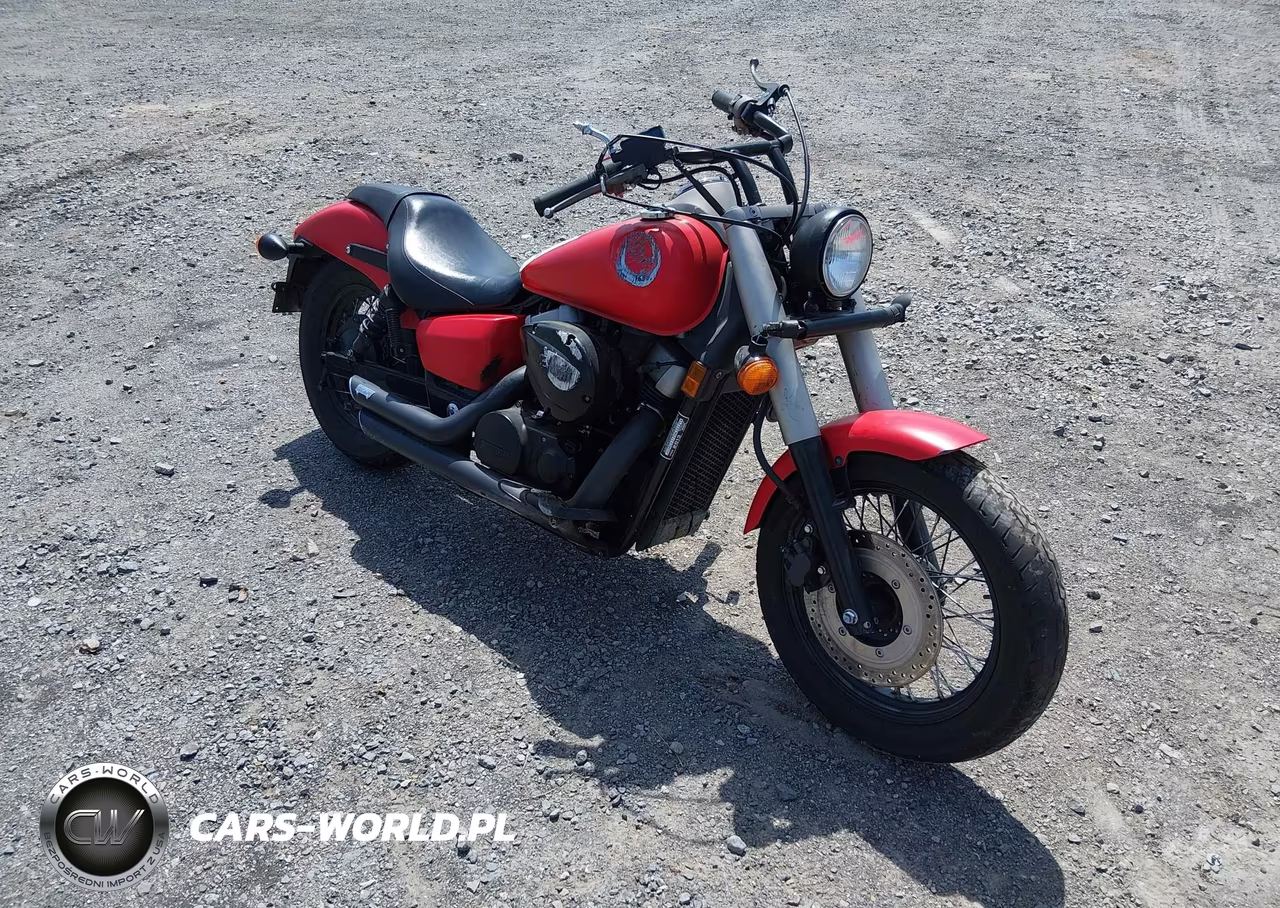 2013 Honda Vt750 C2B