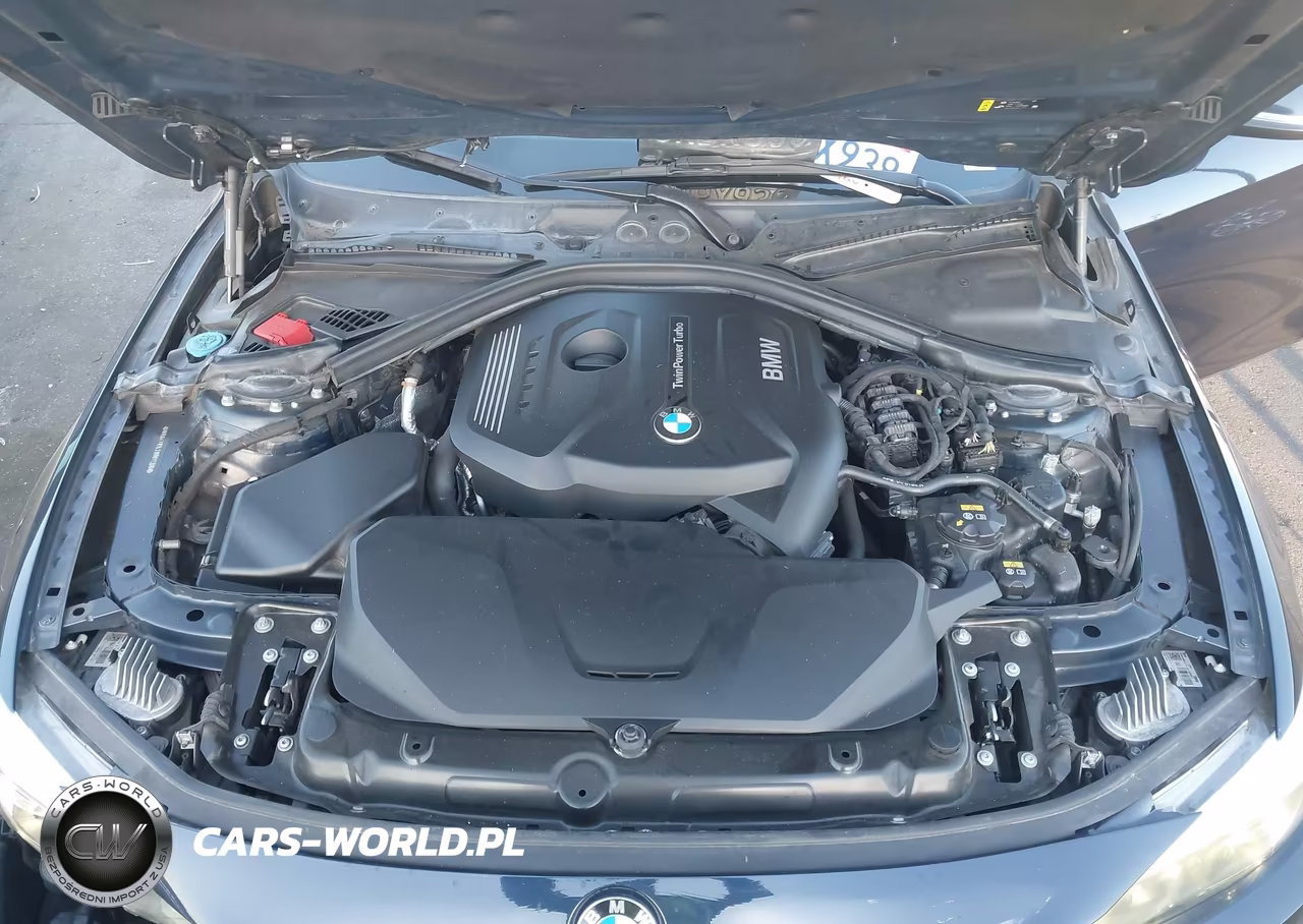 2018 BMW 430I Gran Coupe VIN:WBA4J1C53JBM11326 - 10