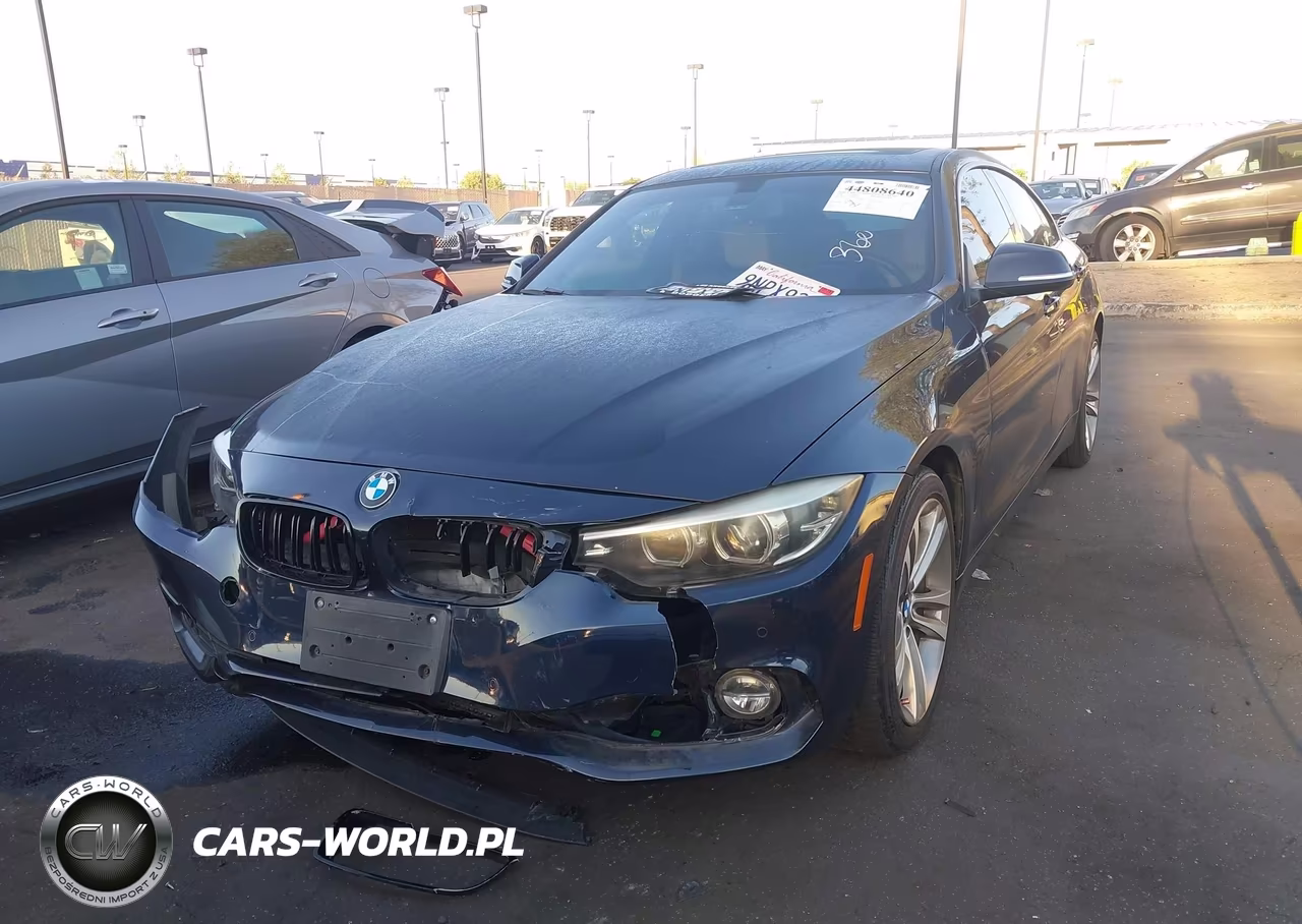 2018 BMW 430I Gran Coupe VIN:WBA4J1C53JBM11326 - 17