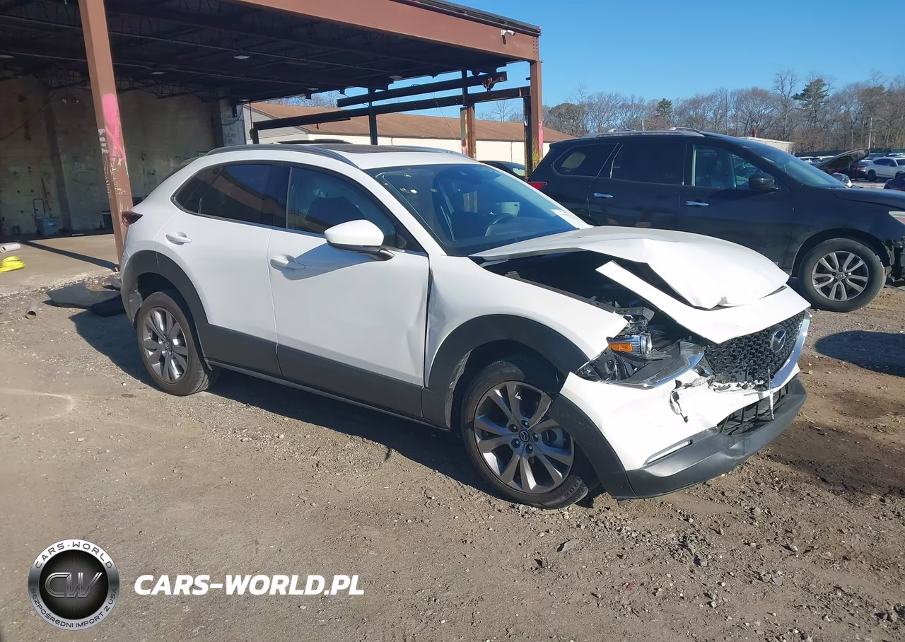 2021 Mazda Cx-30 Premium