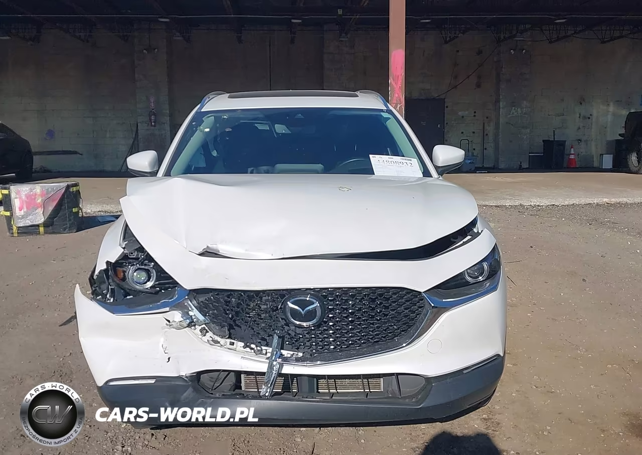 2021 Mazda Cx-30 Premium VIN:3MVDMBDL3MM313941 - 12