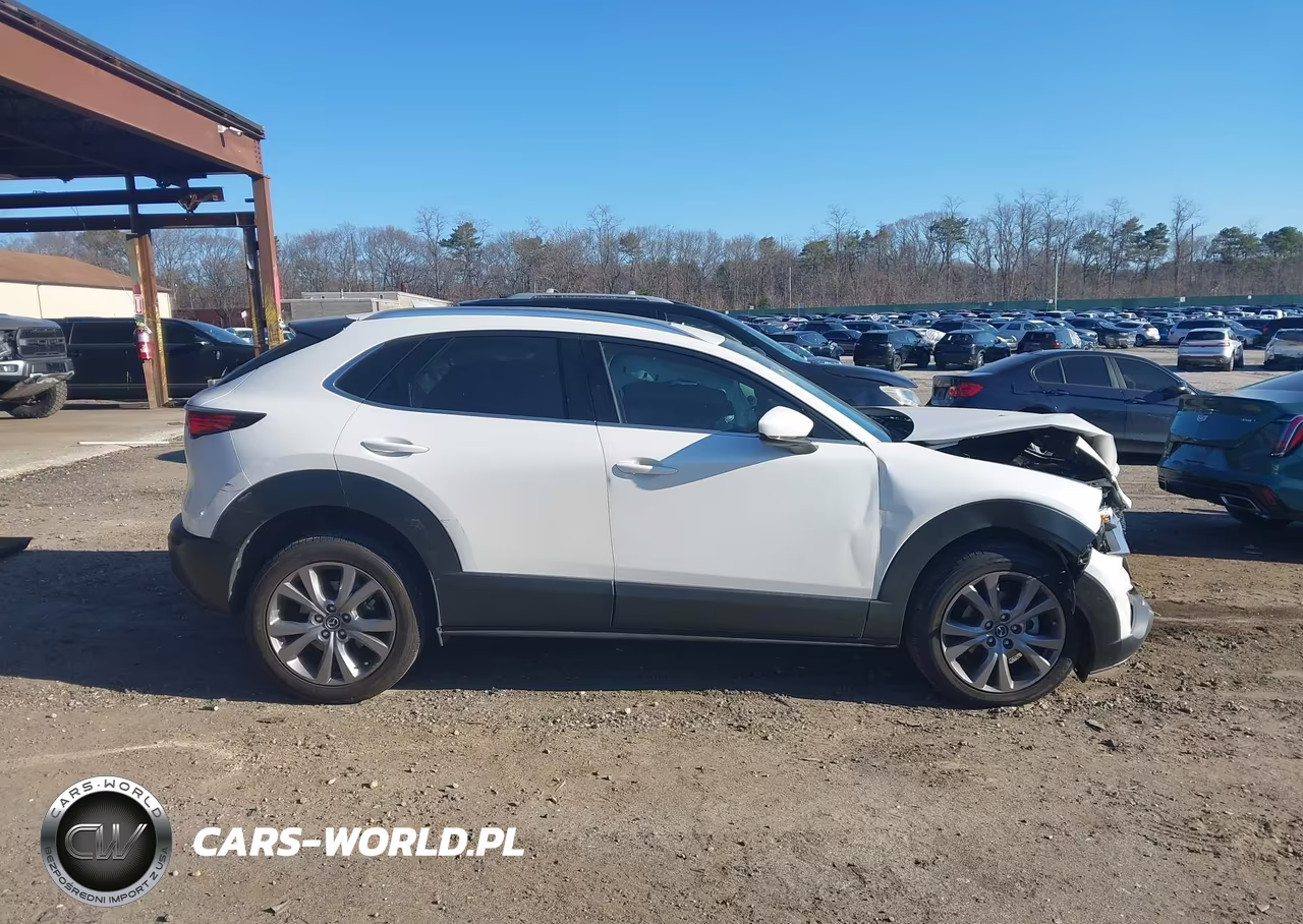2021 Mazda Cx-30 Premium VIN:3MVDMBDL3MM313941 - 13