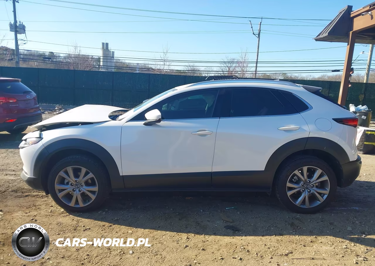 2021 Mazda Cx-30 Premium VIN:3MVDMBDL3MM313941 - 14