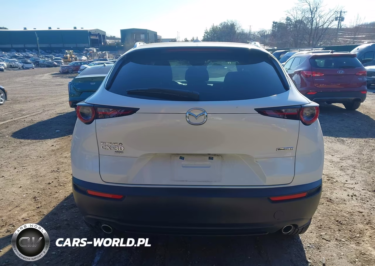 2021 Mazda Cx-30 Premium VIN:3MVDMBDL3MM313941 - 16