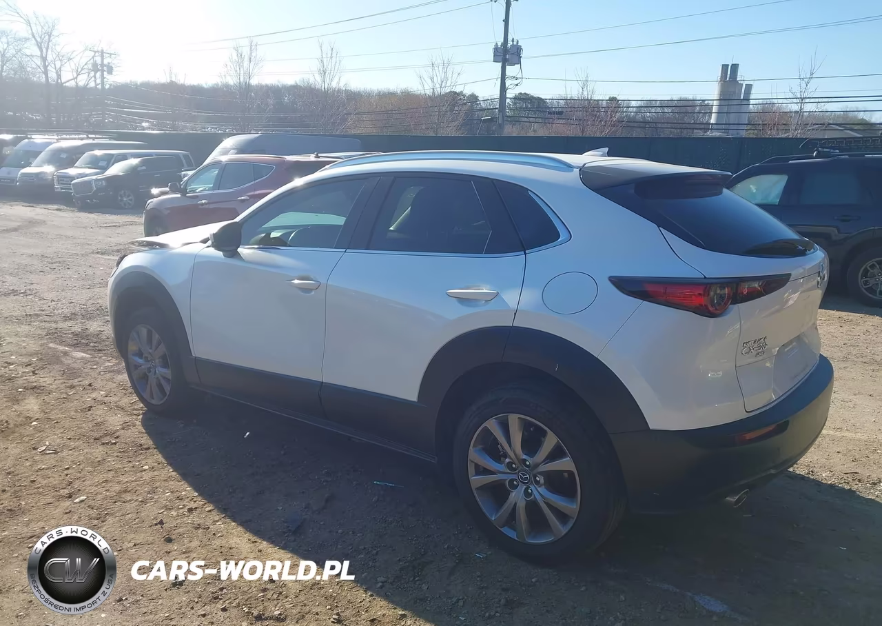 2021 Mazda Cx-30 Premium VIN:3MVDMBDL3MM313941 - 3