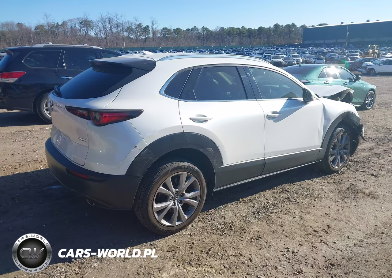 2021 Mazda Cx-30 Premium VIN:3MVDMBDL3MM313941 - 4