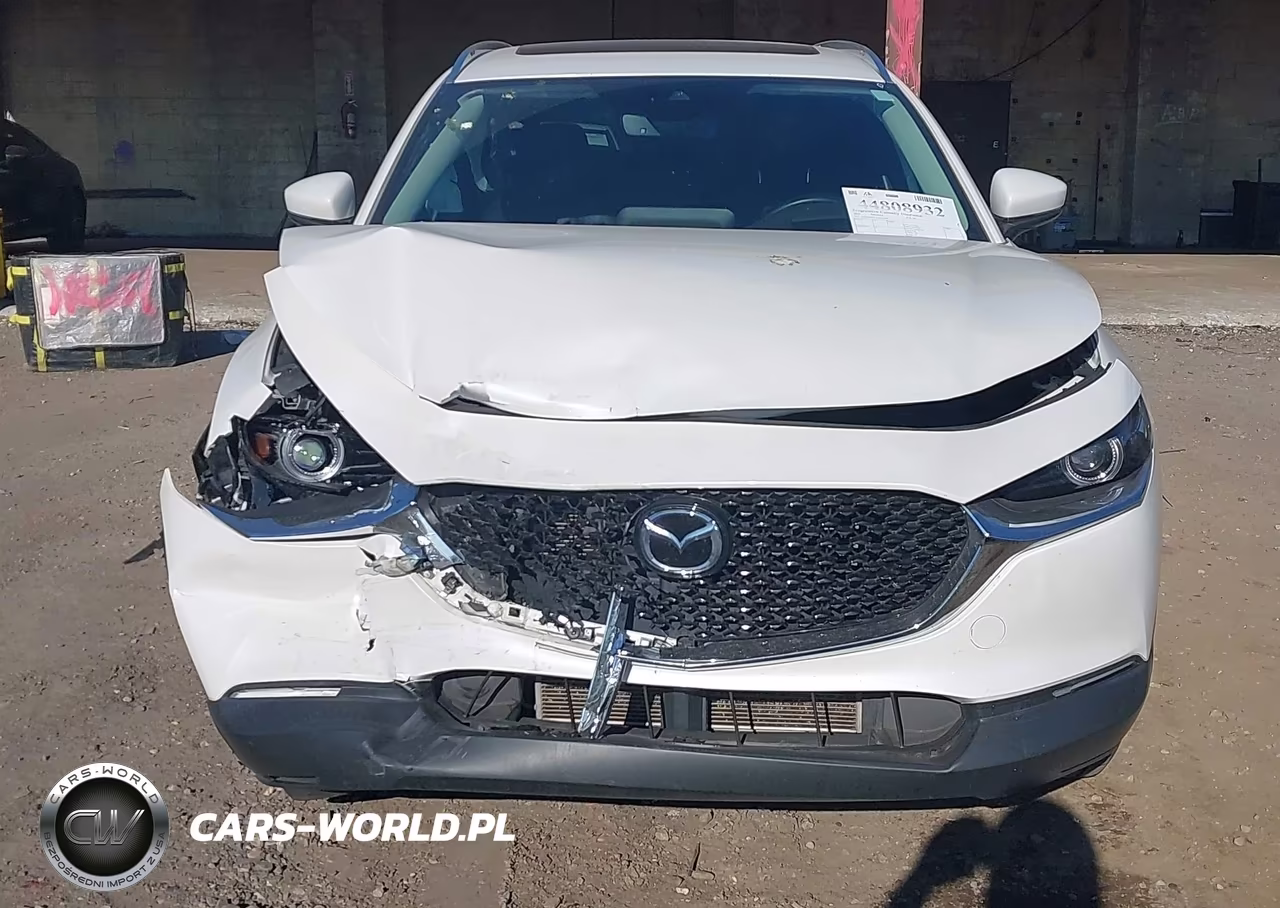 2021 Mazda Cx-30 Premium VIN:3MVDMBDL3MM313941 - 6