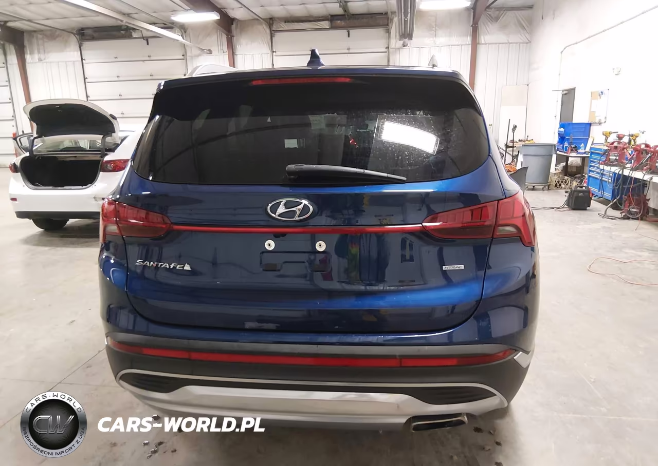 2021 Hyundai Santa Fe Sel VIN:5NMS3DAJ3MH357824 - 17