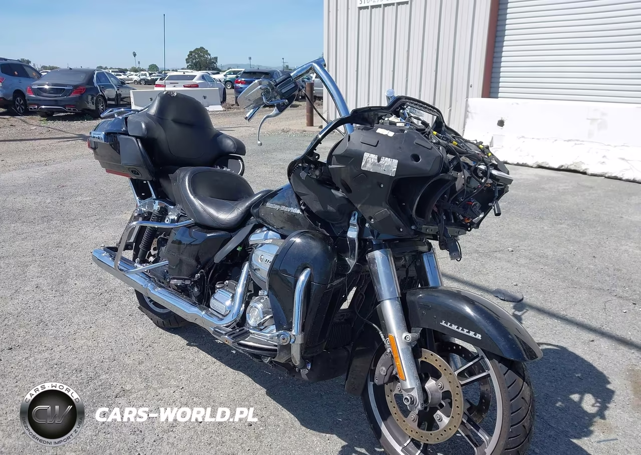 2020 Harley-Davidson Fltrk