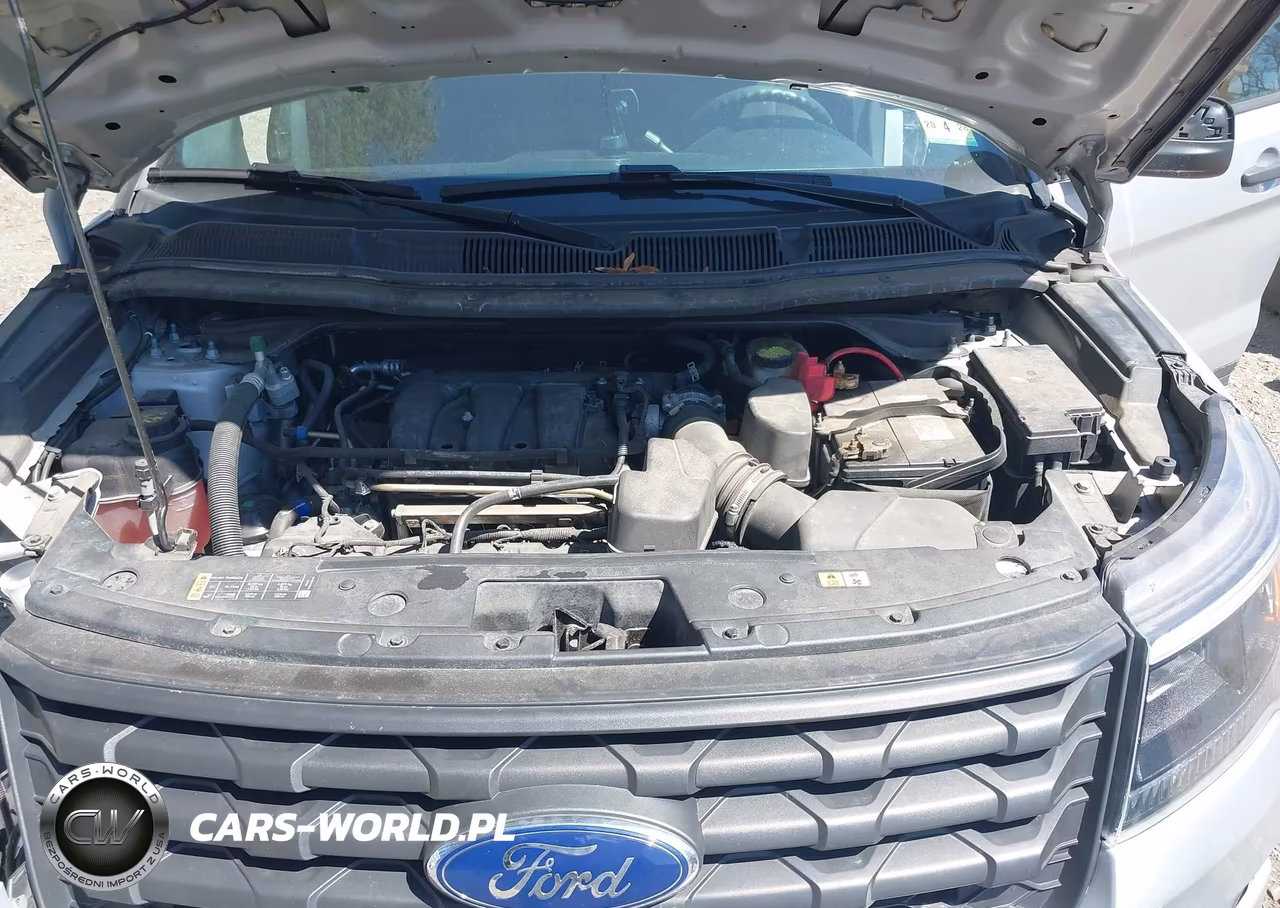 2019 Ford Explorer Police Interceptor VIN:1FM5K8AR9KGB46219 - 10