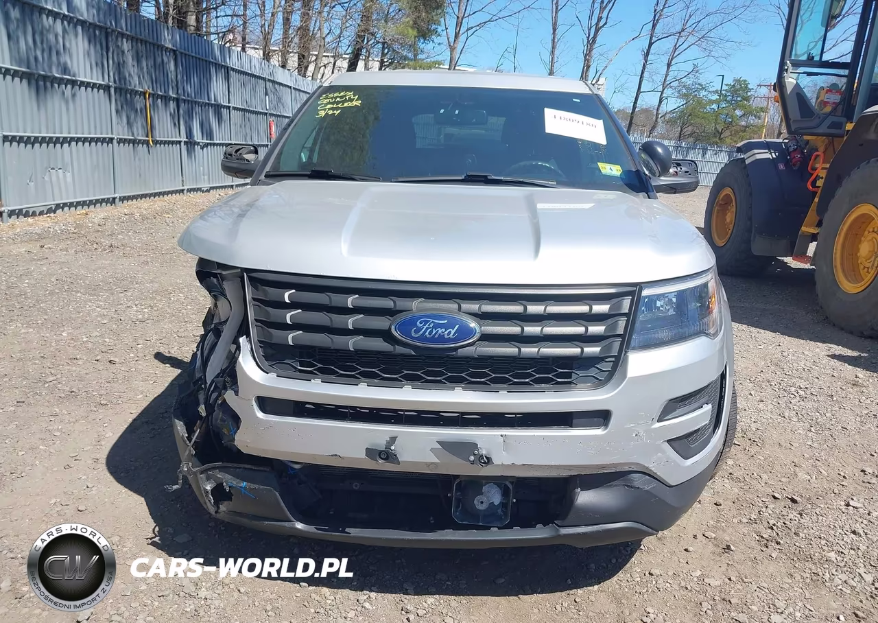 2019 Ford Explorer Police Interceptor VIN:1FM5K8AR9KGB46219 - 12