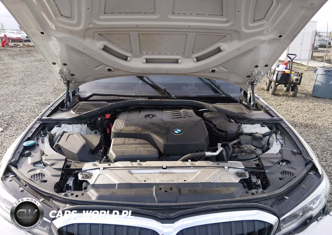 2020 BMW 330I VIN:3MW5R1J00L8B22204 - 10