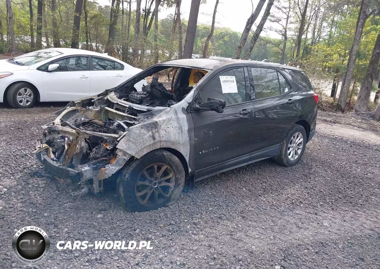 2019 Chevrolet Equinox Ls VIN:3GNAXHEV9KL250885 - 2