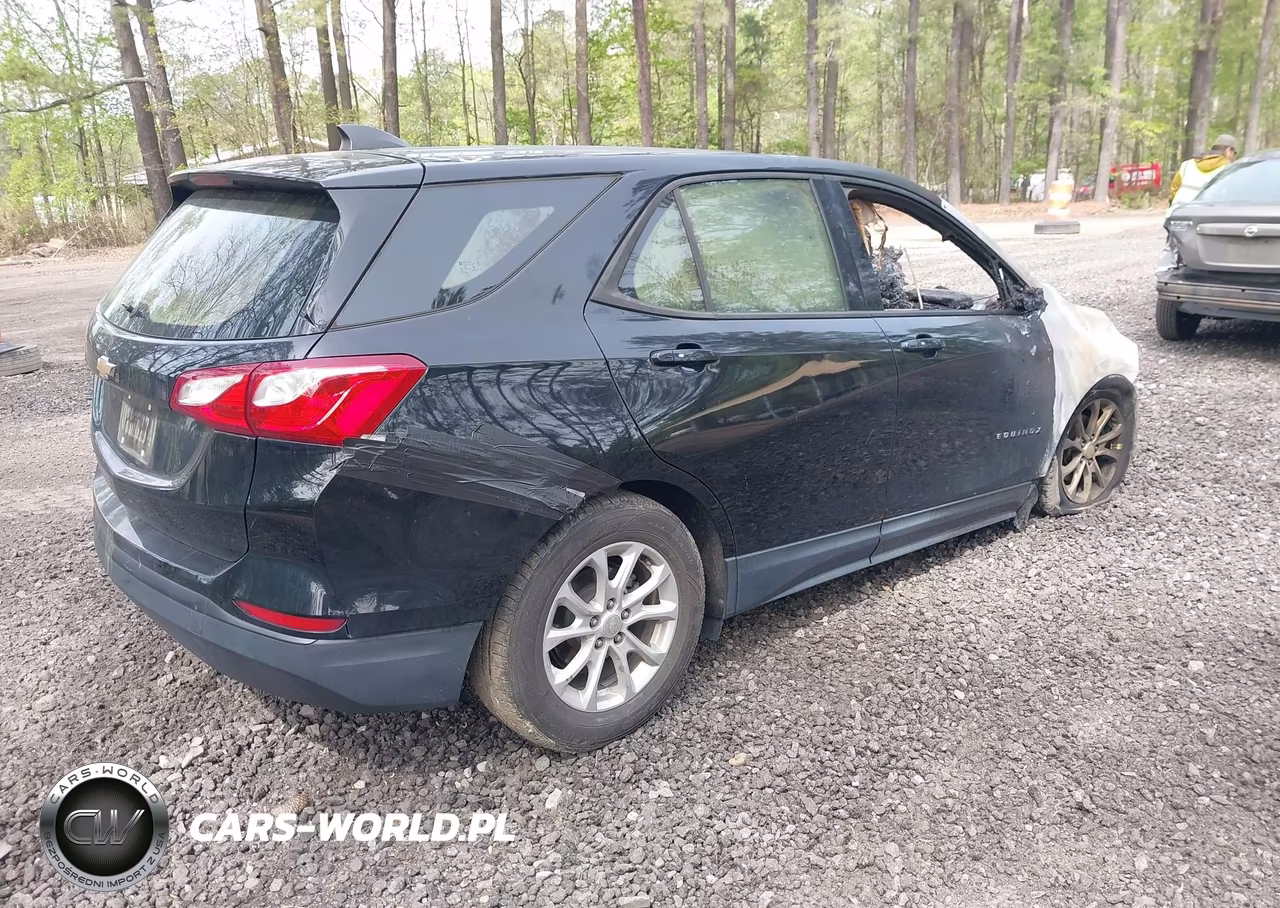 2019 Chevrolet Equinox Ls VIN:3GNAXHEV9KL250885 - 4
