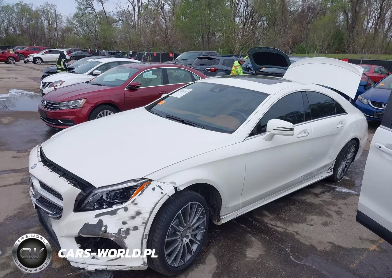 2016 Mercedes-Benz Cls 550 VIN:WDDLJ7DB0GA174143 - 14
