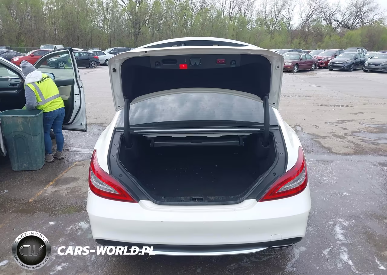 2016 Mercedes-Benz Cls 550 VIN:WDDLJ7DB0GA174143 - 16