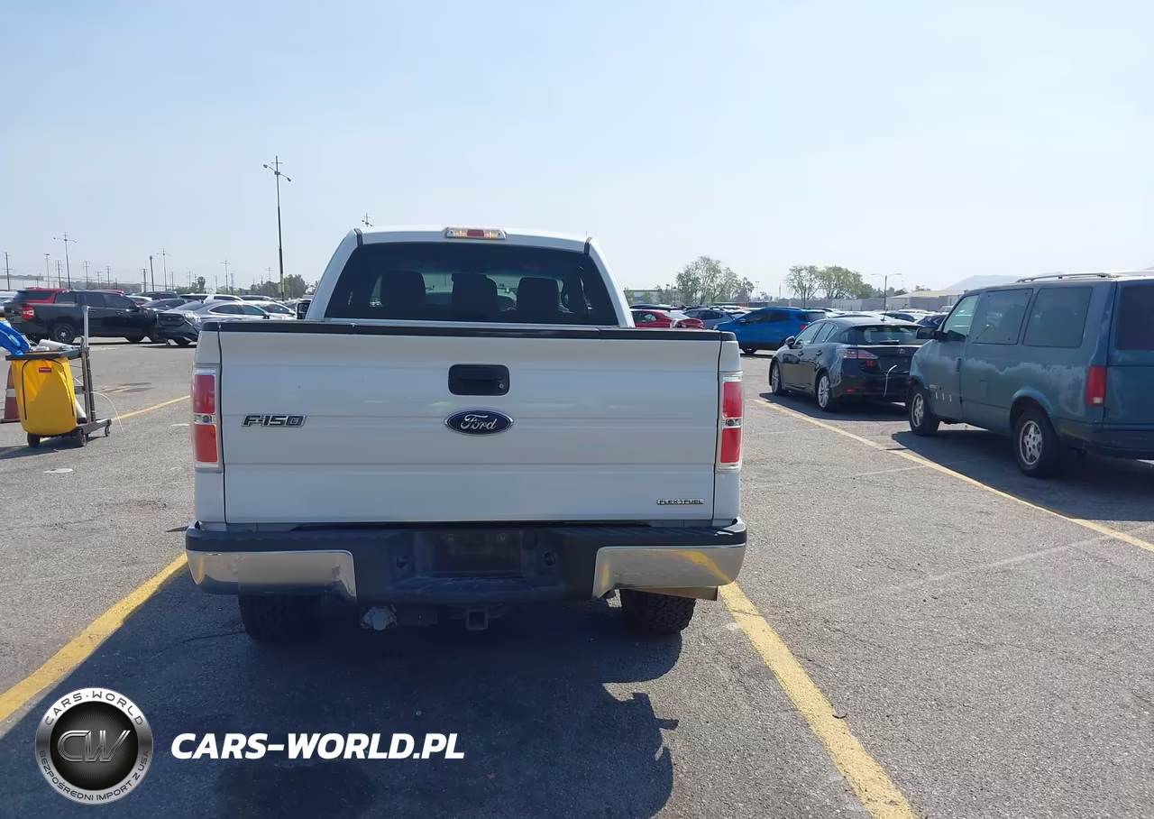 2012 Ford F-150 Xlt VIN:1FTEX1EM1CFC22065 - 16
