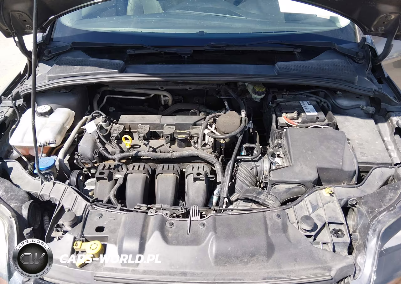 2012 Ford Focus Sel VIN:1FAHP3H22CL253528 - 10