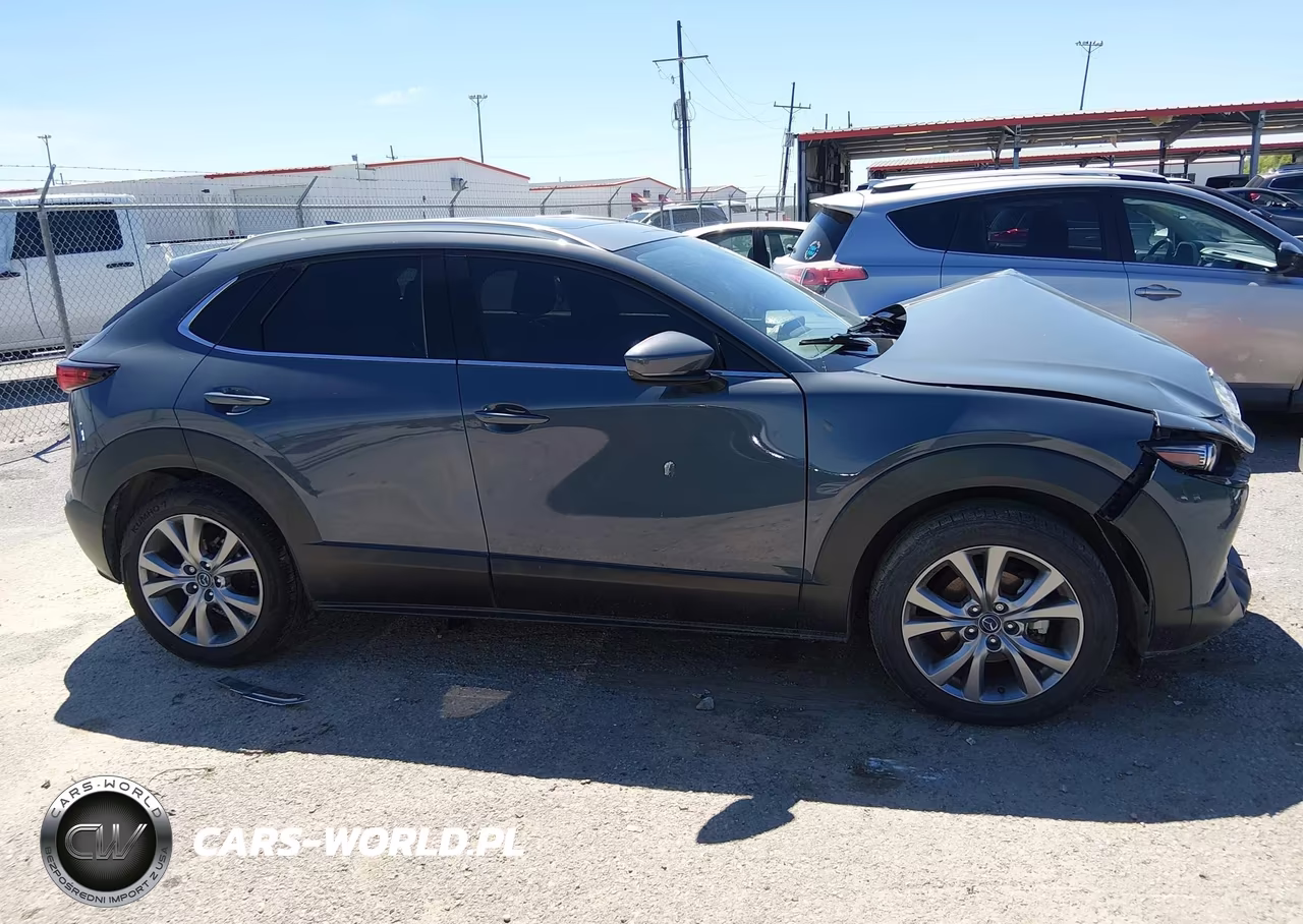 2020 Mazda Cx-30 Premium Package VIN:3MVDMAEM2LM109311 - 13