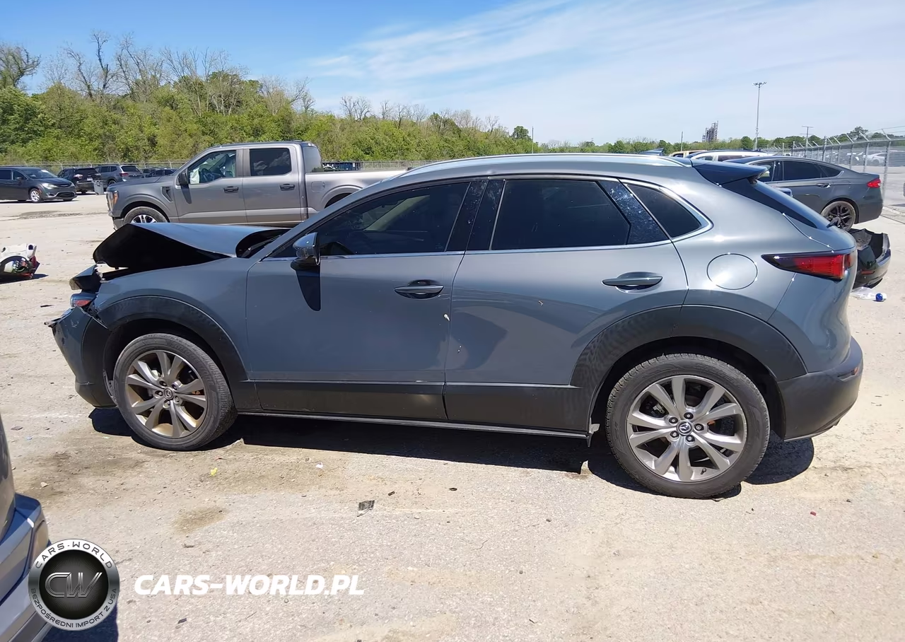 2020 Mazda Cx-30 Premium Package VIN:3MVDMAEM2LM109311 - 14
