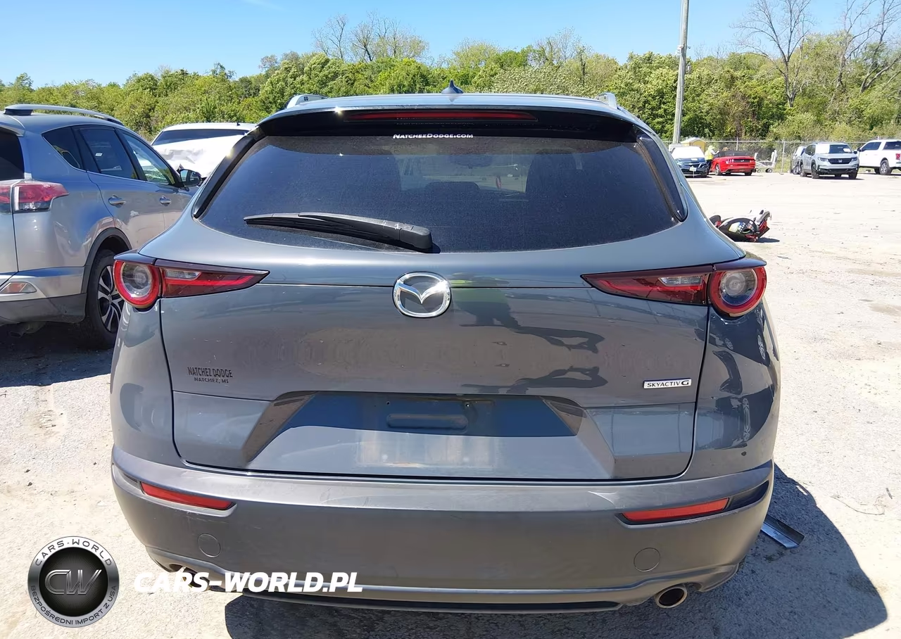 2020 Mazda Cx-30 Premium Package VIN:3MVDMAEM2LM109311 - 16