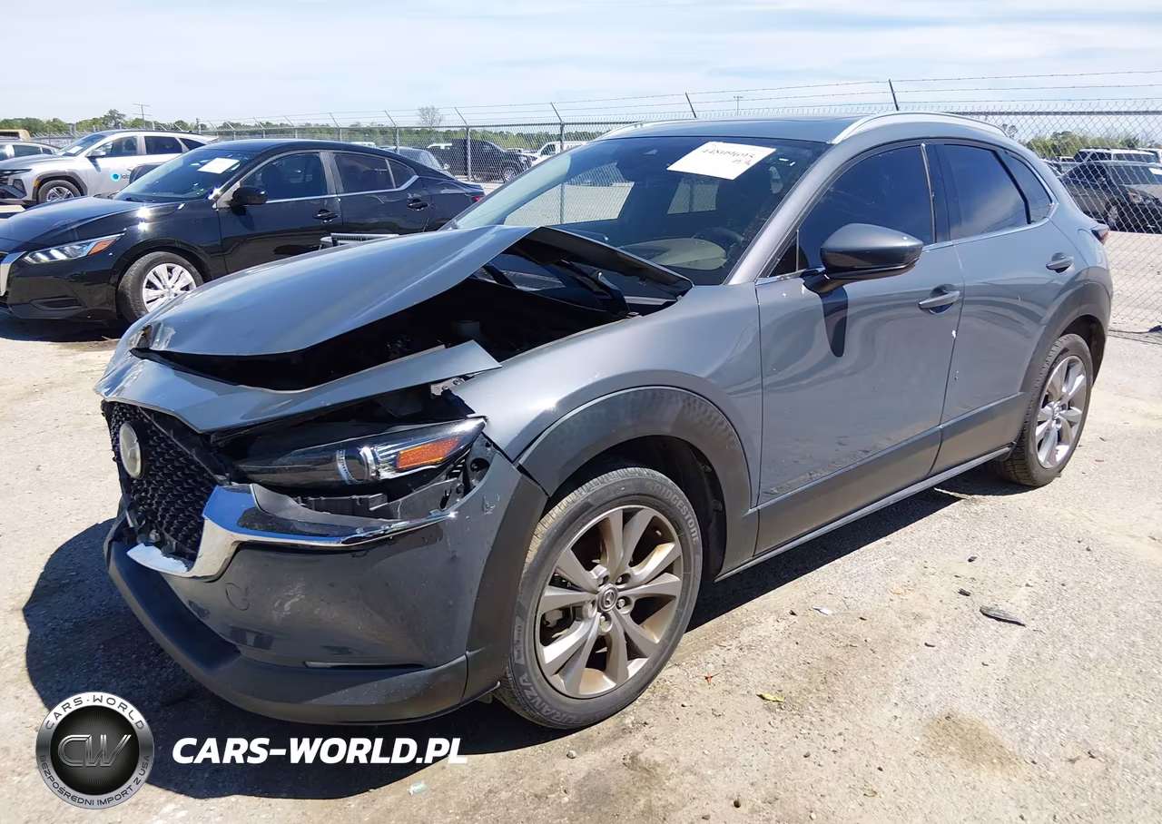 2020 Mazda Cx-30 Premium Package VIN:3MVDMAEM2LM109311 - 2