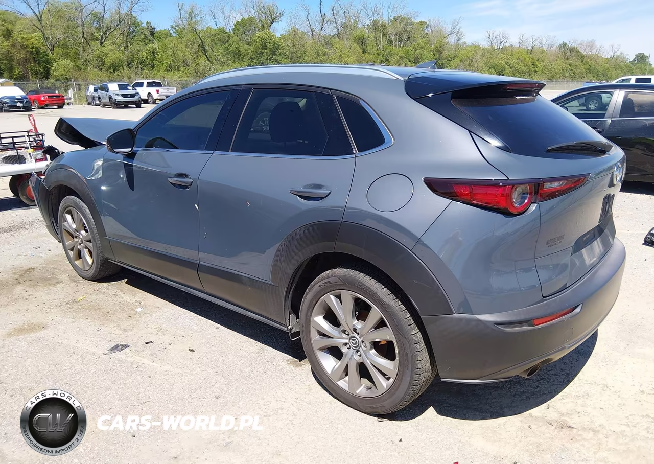 2020 Mazda Cx-30 Premium Package VIN:3MVDMAEM2LM109311 - 3