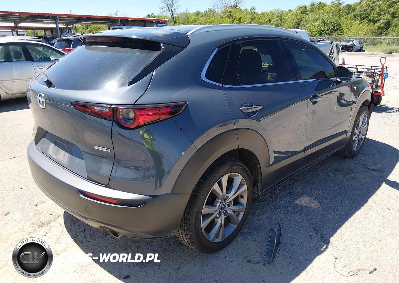 2020 Mazda Cx-30 Premium Package VIN:3MVDMAEM2LM109311 - 4