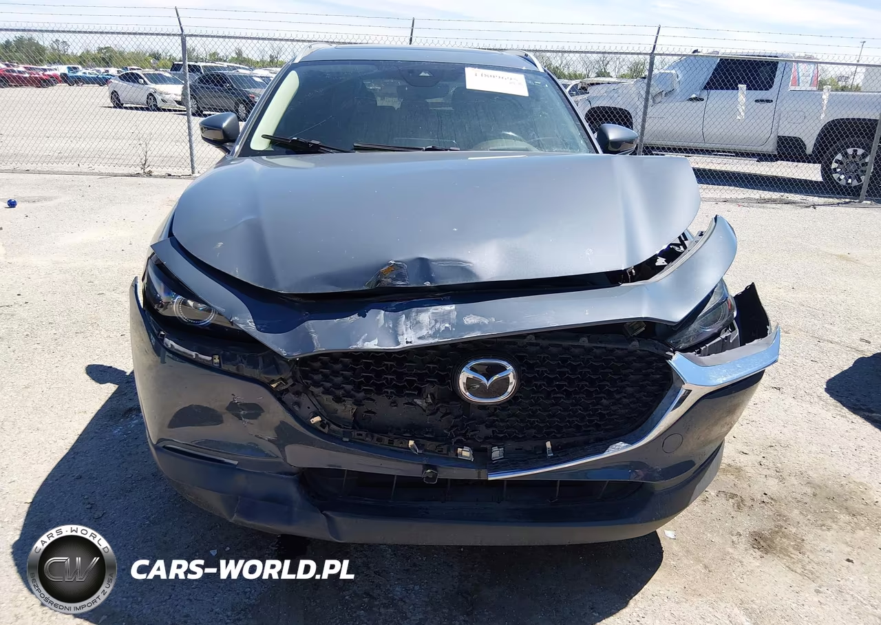 2020 Mazda Cx-30 Premium Package VIN:3MVDMAEM2LM109311 - 6