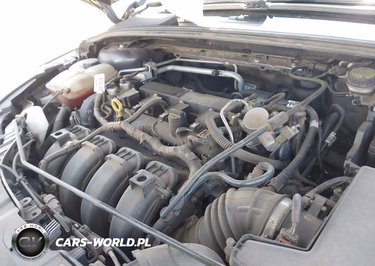 2016 Ford Focus Se VIN:1FADP3F27GL328764 - 10