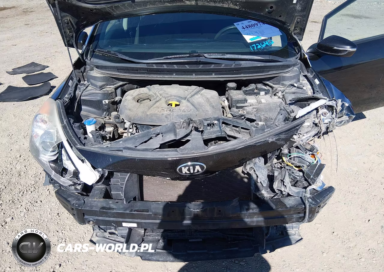 2016 Kia Forte Lx VIN:KNAFX4A67G5528841 - 10