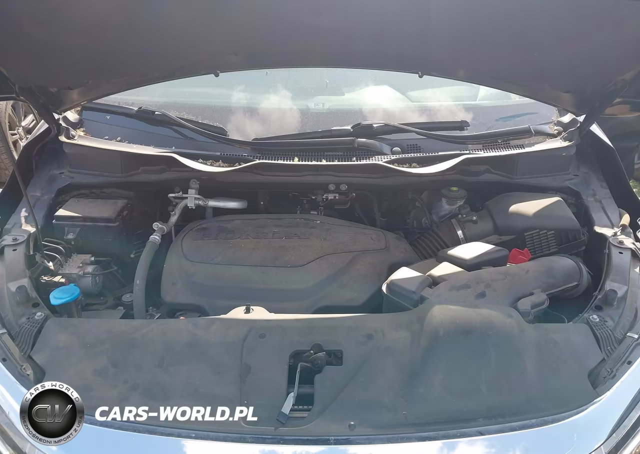 2023 Honda Odyssey Elite VIN:5FNRL6H99PB031053 - 10