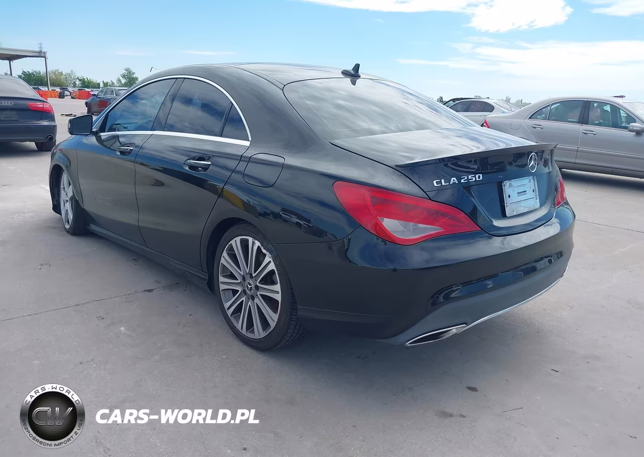 2019 Mercedes-Benz Cla 250 VIN:WDDSJ4EBXKN751223 - 3