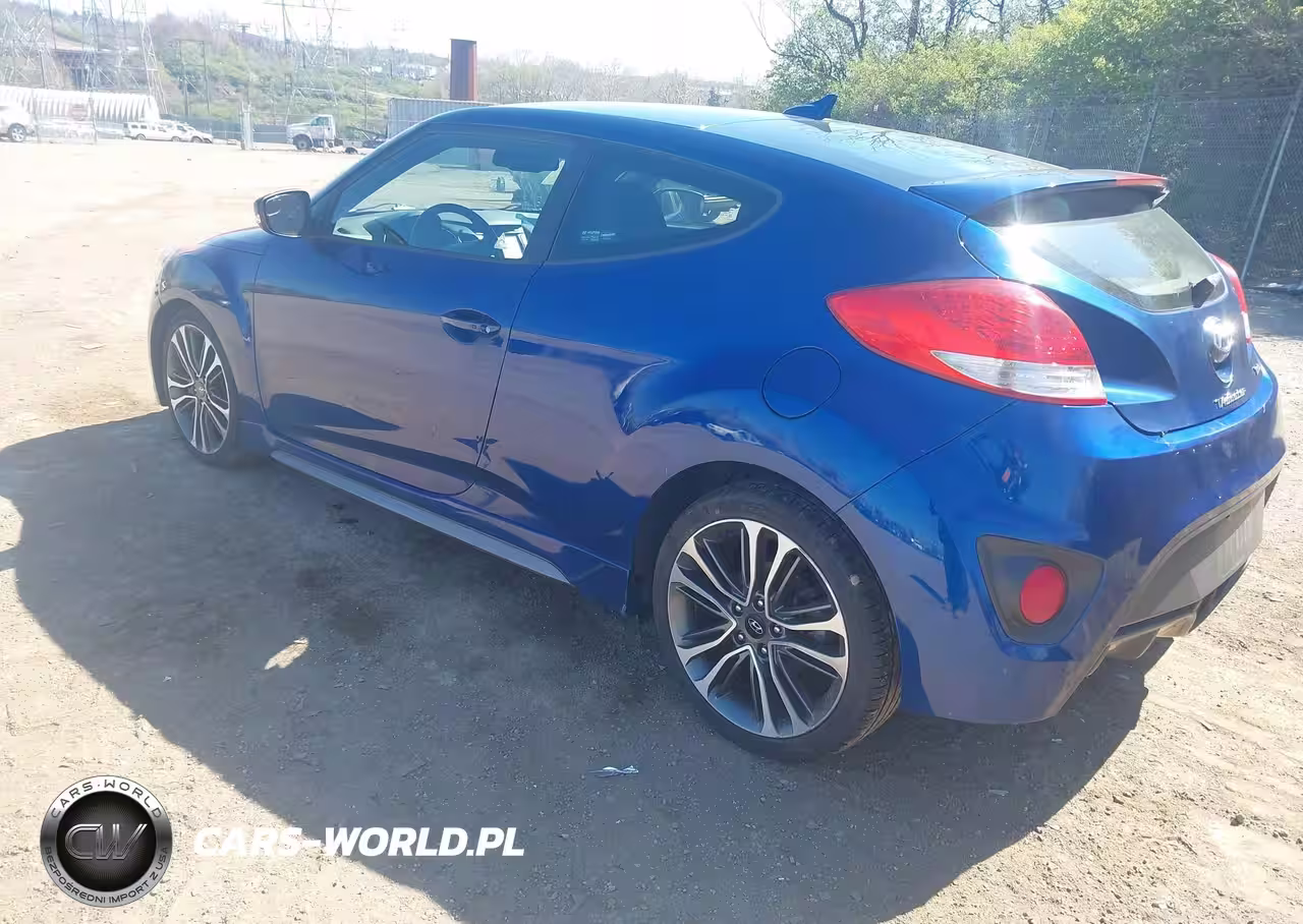 2016 Hyundai Veloster Turbo VIN:KMHTC6AE1GU262240 - 3
