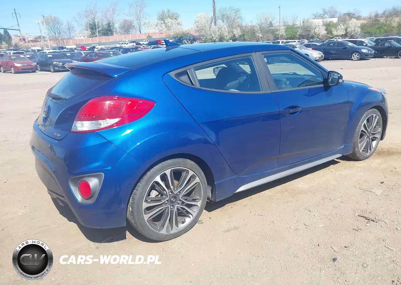 2016 Hyundai Veloster Turbo VIN:KMHTC6AE1GU262240 - 4