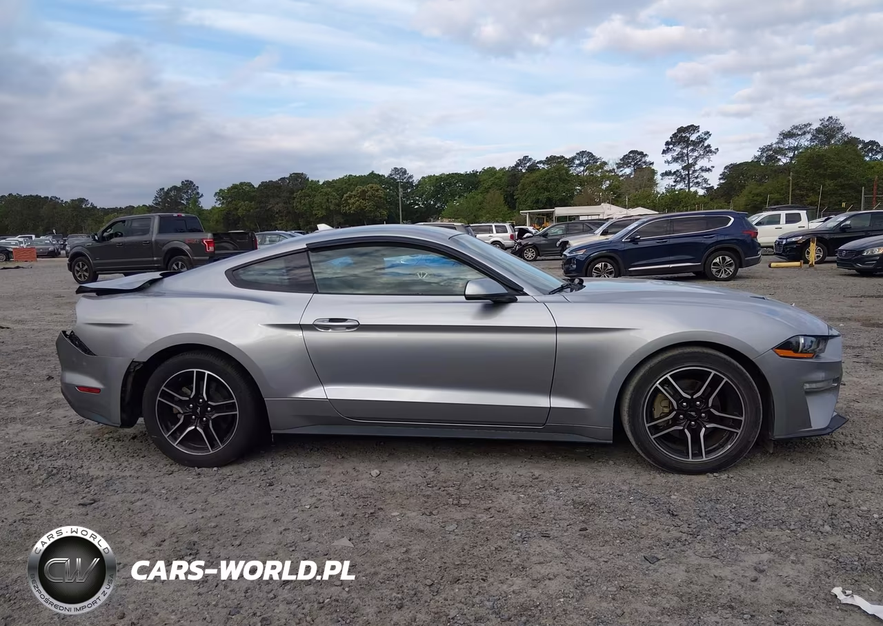 2021 Ford Mustang Ecoboost Fastback VIN:1FA6P8TH2M5112853 - 13