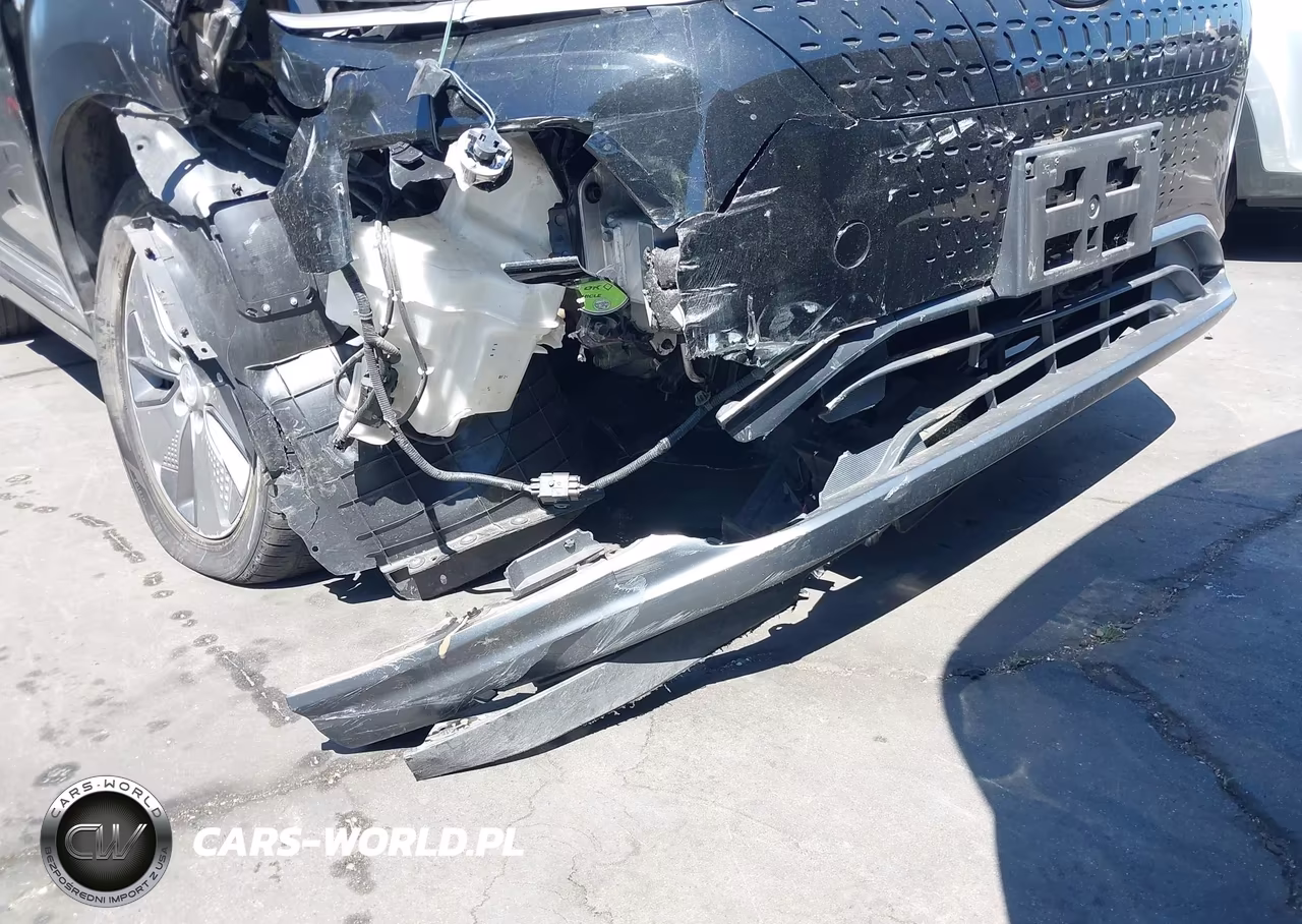 2019 Hyundai Kona Ev Sel VIN:KM8K23AGXKU048287 - 21