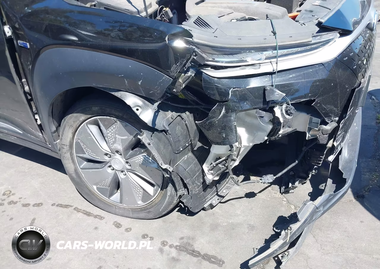 2019 Hyundai Kona Ev Sel VIN:KM8K23AGXKU048287 - 6